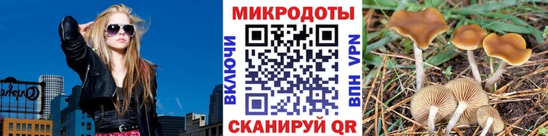 Галлюциногенные грибы GOLDEN TEACHER  Купить  Усмань 
